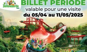 Billet période Bellewaerde billetterie apace loisirs