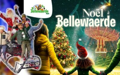 Noël à BELLEWAERDE PARK  – E-Billet