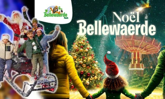 Noël à BELLEWAERDE PARK  – E-Billet