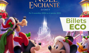 Billets eco Disneyland Paris Billetterie Apace Loisirs