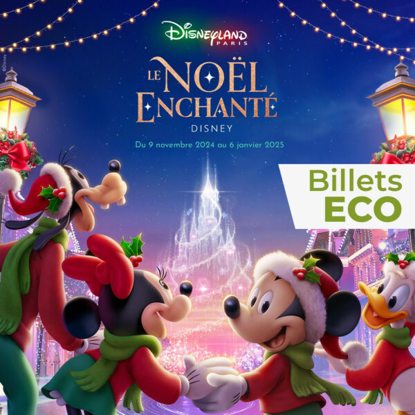 Billets eco Disneyland Paris Billetterie Apace Loisirs