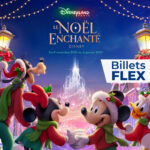 Billets flex Disneyland Paris Billetterie Apace Loisirs