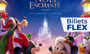 Billets flex Disneyland Paris Billetterie Apace Loisirs