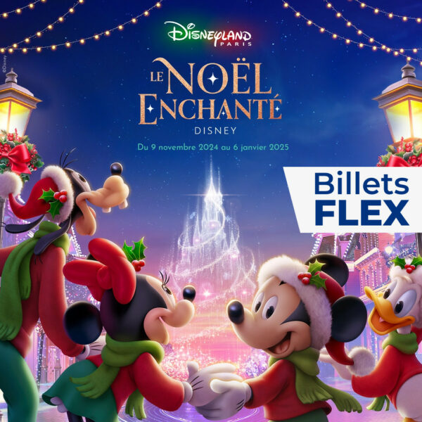 Billets flex Disneyland Paris Billetterie Apace Loisirs