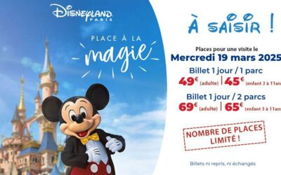 OFFRE EXCLUSIVE Disneyland Paris pour le 19/03/2025 !